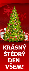Do vánoc zbývá už jen ...