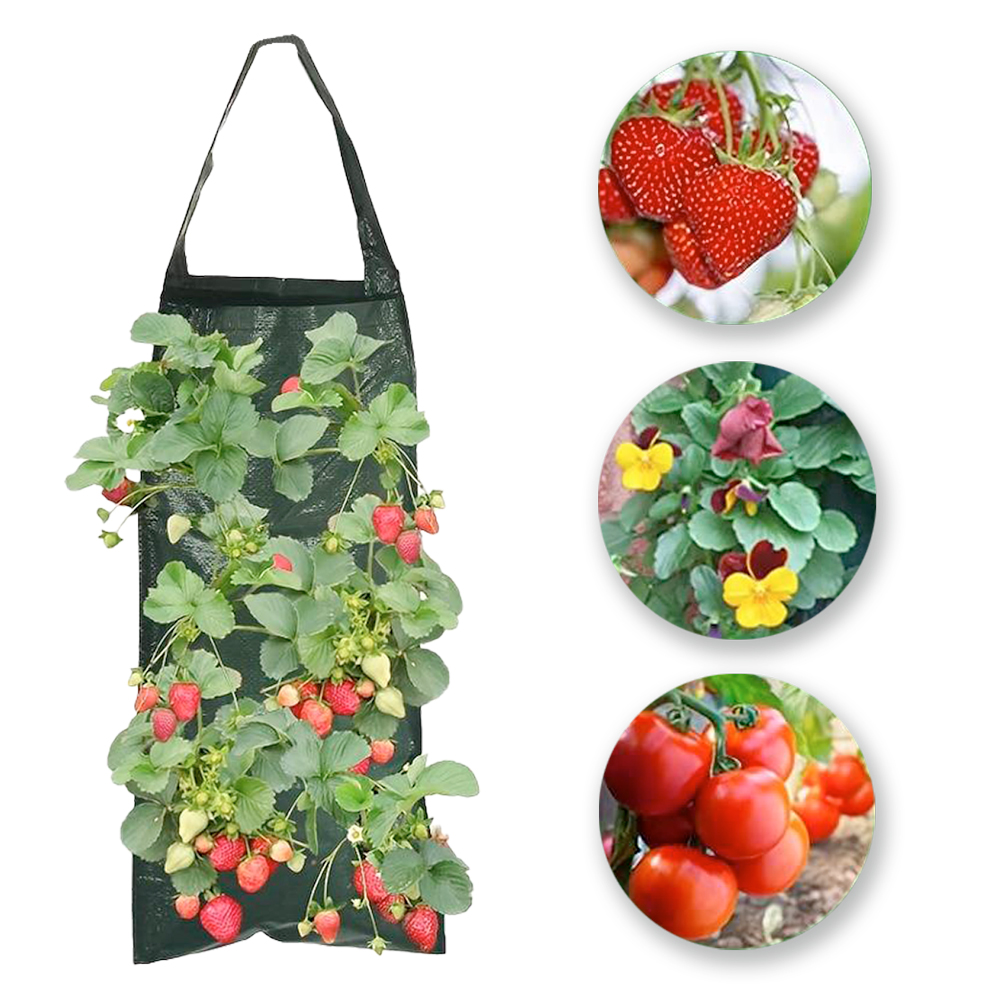 Garden King Závěsný pytel na pěstování rostlin VEGGIE 8 otvorů, textil 25 x 59 cm, zelený