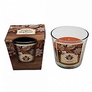 Vonná svíčka Cinnamon & Gingerbread 120 g