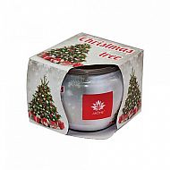 Vonná svíčka Frosted spruce 85 g