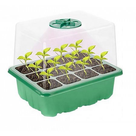 minipareniste s osvetlenim 12 sazenic 